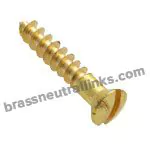 Brass Oval Head Screws