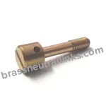 Brass Sealing Screw